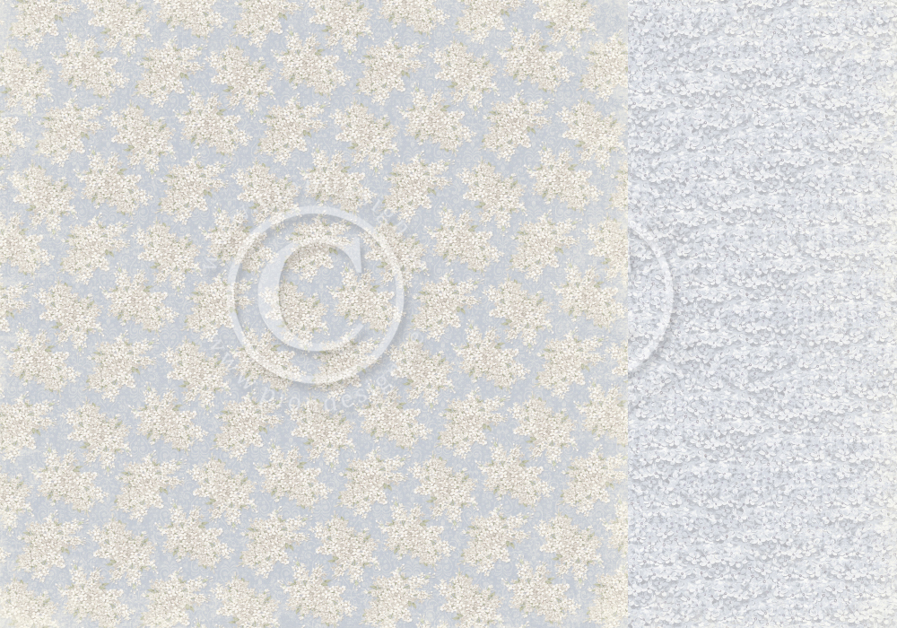 pion papier/new beginnings/Delicate blooms PD26009.jpg